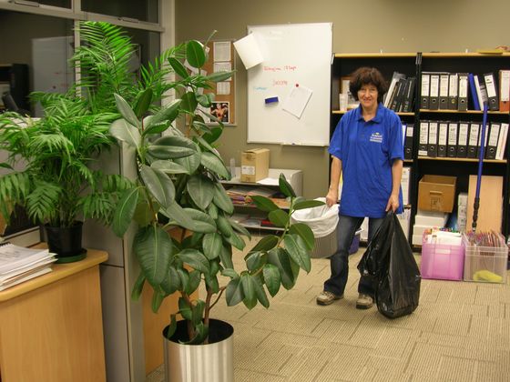Professional doing the office cleaning 