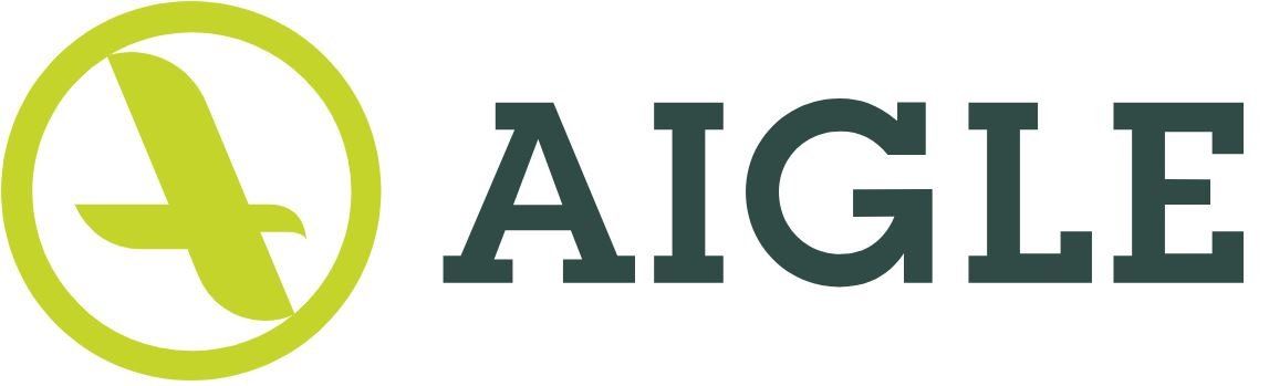 Un logo pour aigle avec un avion dans un cercle.