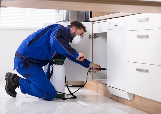 Worker Spraying Pesticides On Cabinets — Jonesboro, AR — NEA Termite & Pest Control