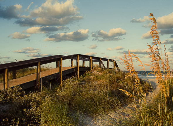 property management jacksonville florida