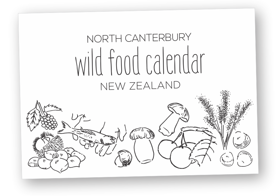 margot, korhonen, art, artist, north canterbury, illustration, wild food, calendar, cooking, foraging, mushrooms, fish, berries, cherries, annual, art, artist, recipe, cooking