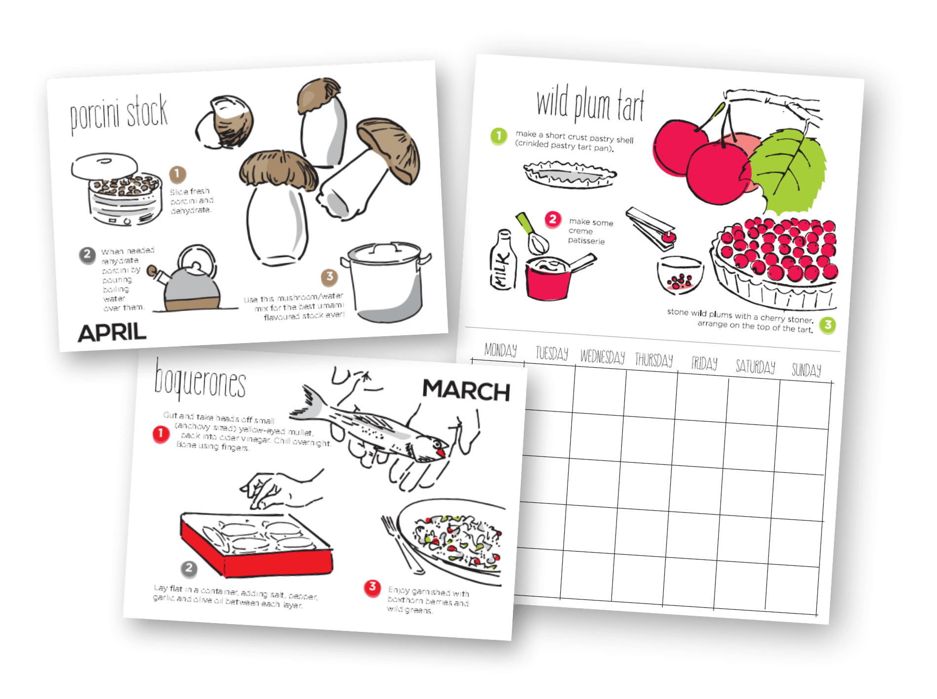 margot, korhonen, art, artist, north canterbury, illustration, wild food, calendar, cooking, foraging, mushrooms, fish, berries, cherries, annual, art, artist, recipe, cooking