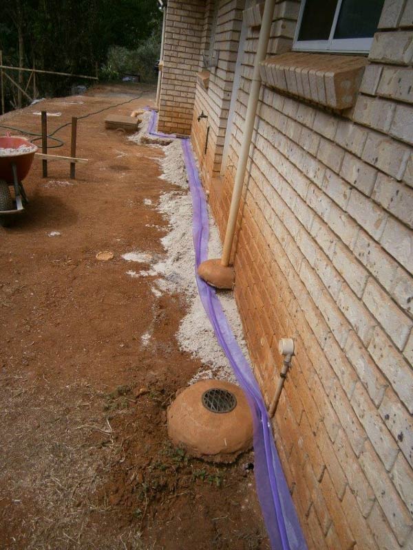 termites testing