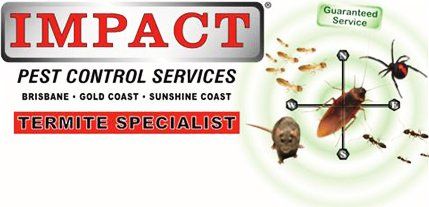 impact services logo