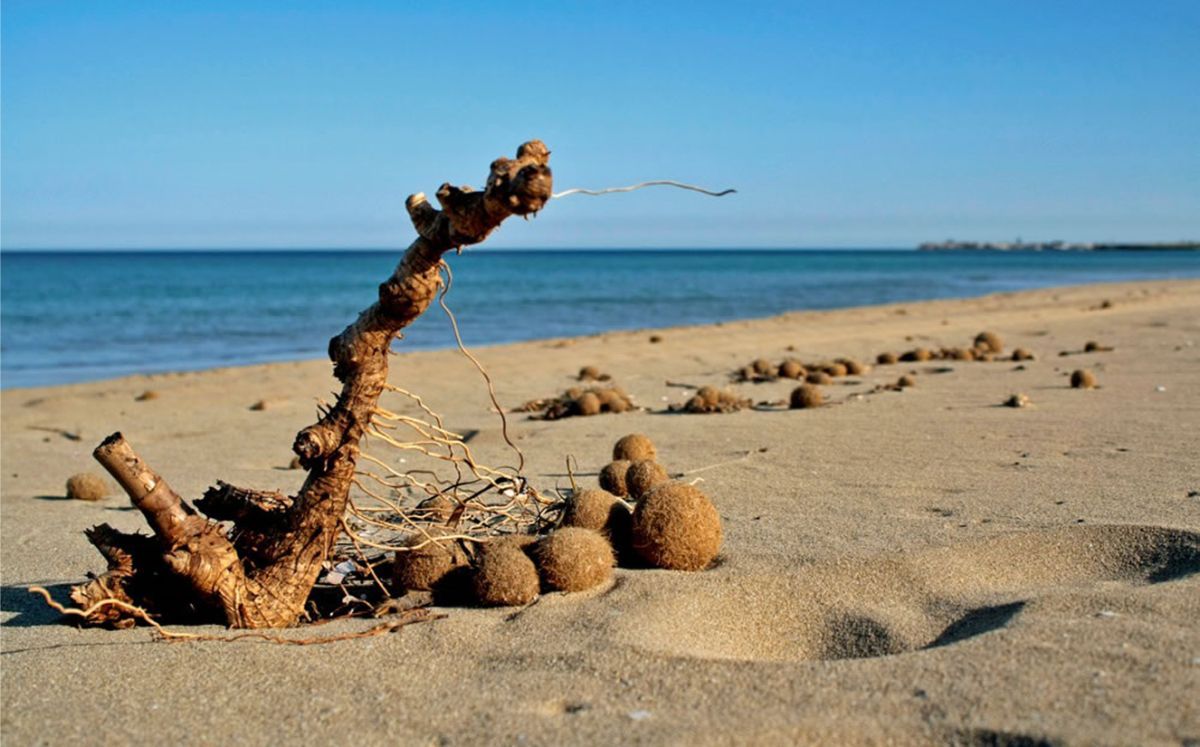 Spiaggia incontaminata