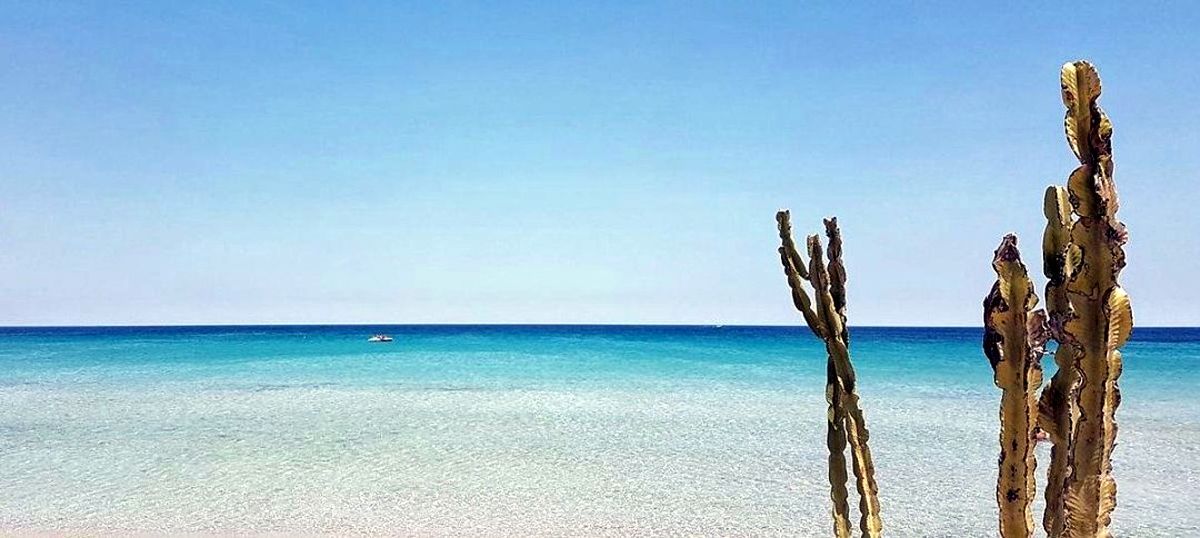 Mare incontaminato