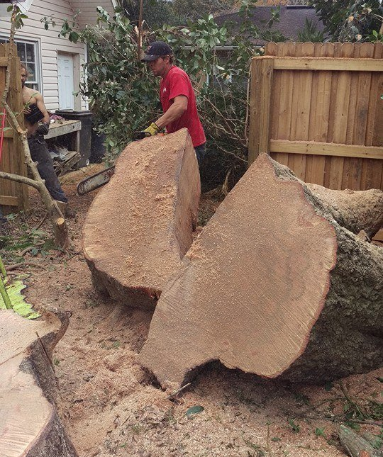 A Road Signage Of A Tree Work — Jacksonville, FL — Shaw's Tree Service, LLC A Road Signage Of A Tree Work — Jacksonville, FL — Shaw's Tree Service, LLC