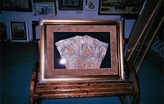 Picture Framing Pensacola, FL