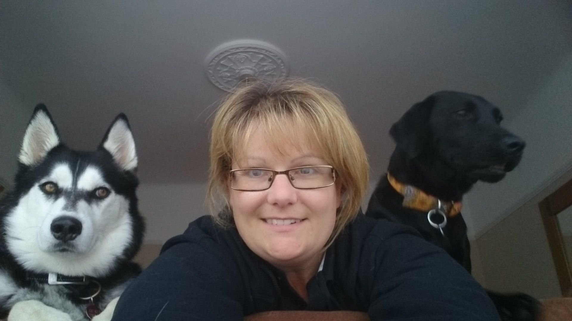 certified dog trainer