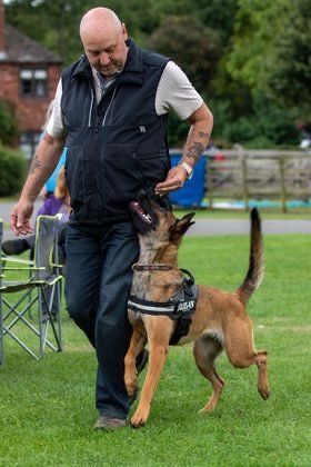 dog playing with his master