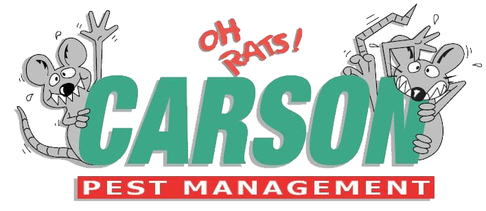 Carson Pest Management Carson Pest Management