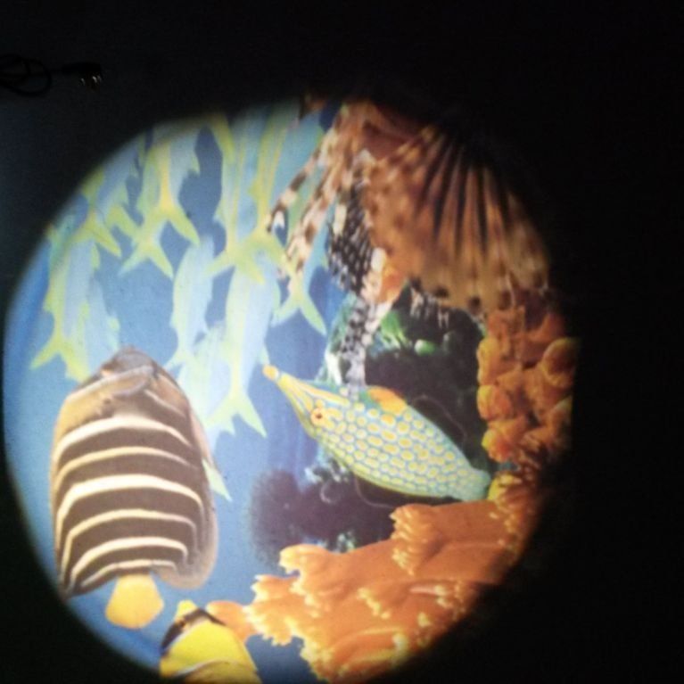 Impulsi sensoriali