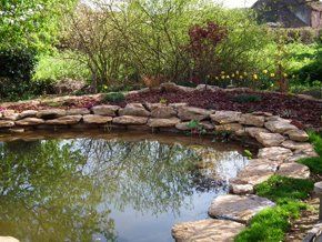 For pond maintenance in Somerset and Devon call Aquatic Solutions on 07875 584 226 A pond with brick wall in Somerset