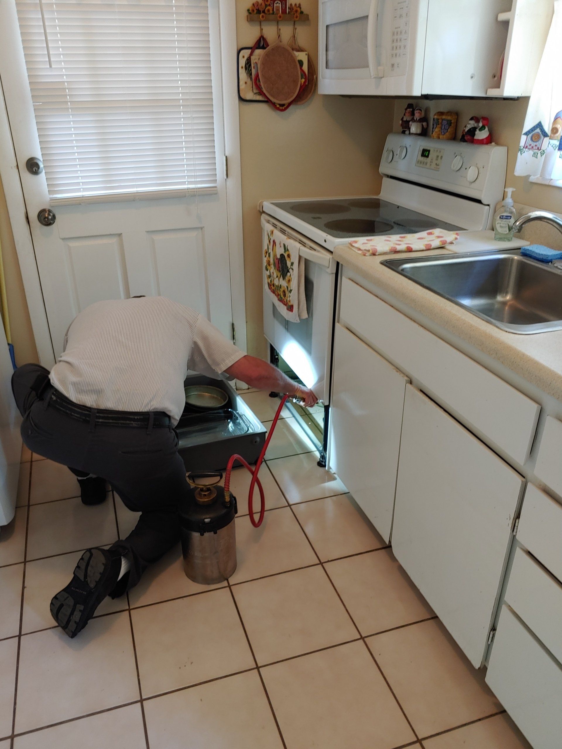 Residential Pest Control — Tavares, FL — Eagle Exterminating Co