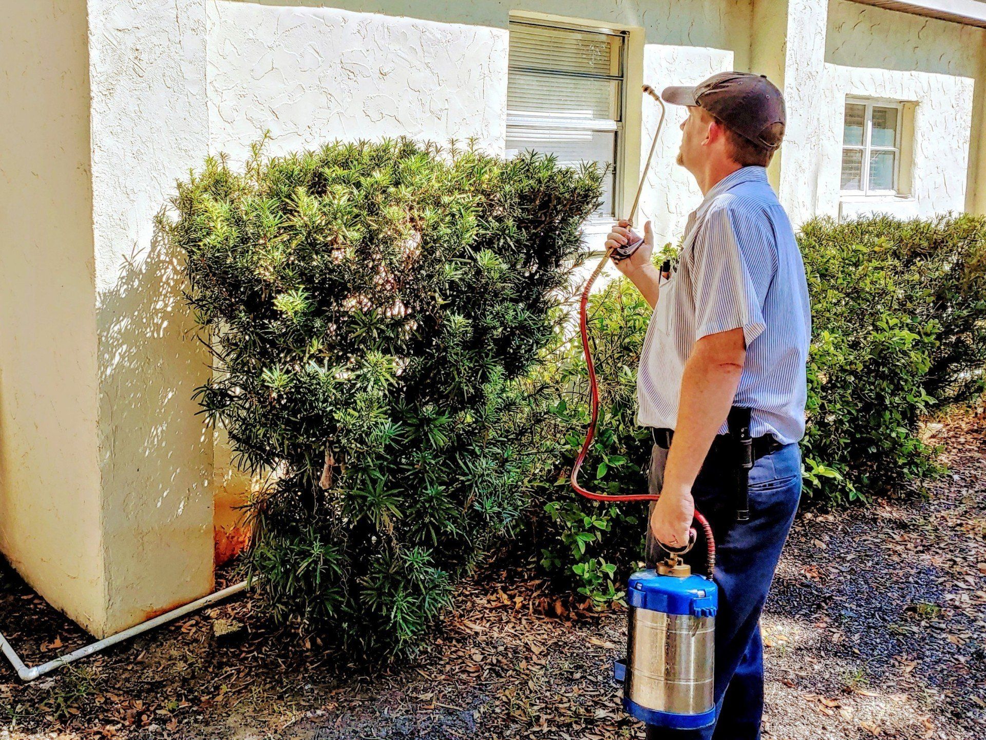 Exterminating Company — Exterminators in Tavares, FL