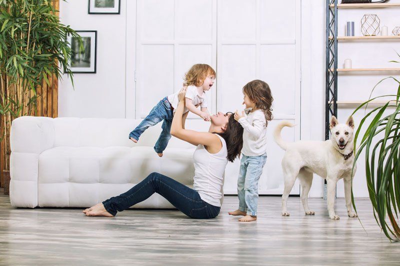 Spiders — Happy Family at Home Together in Tavares, FL