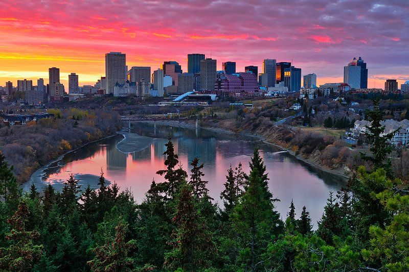 A city skyline over a river with trees in the foreground.