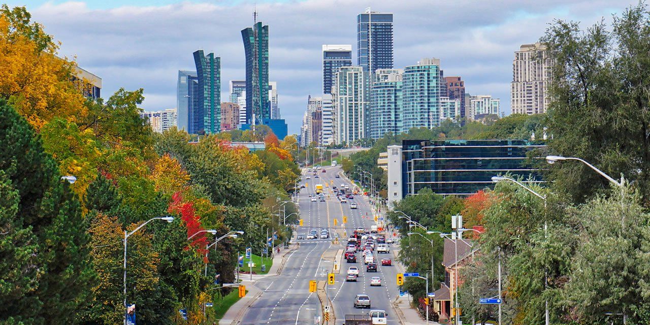 BLACK OWNED BUSINESSES IN NORTH YORK