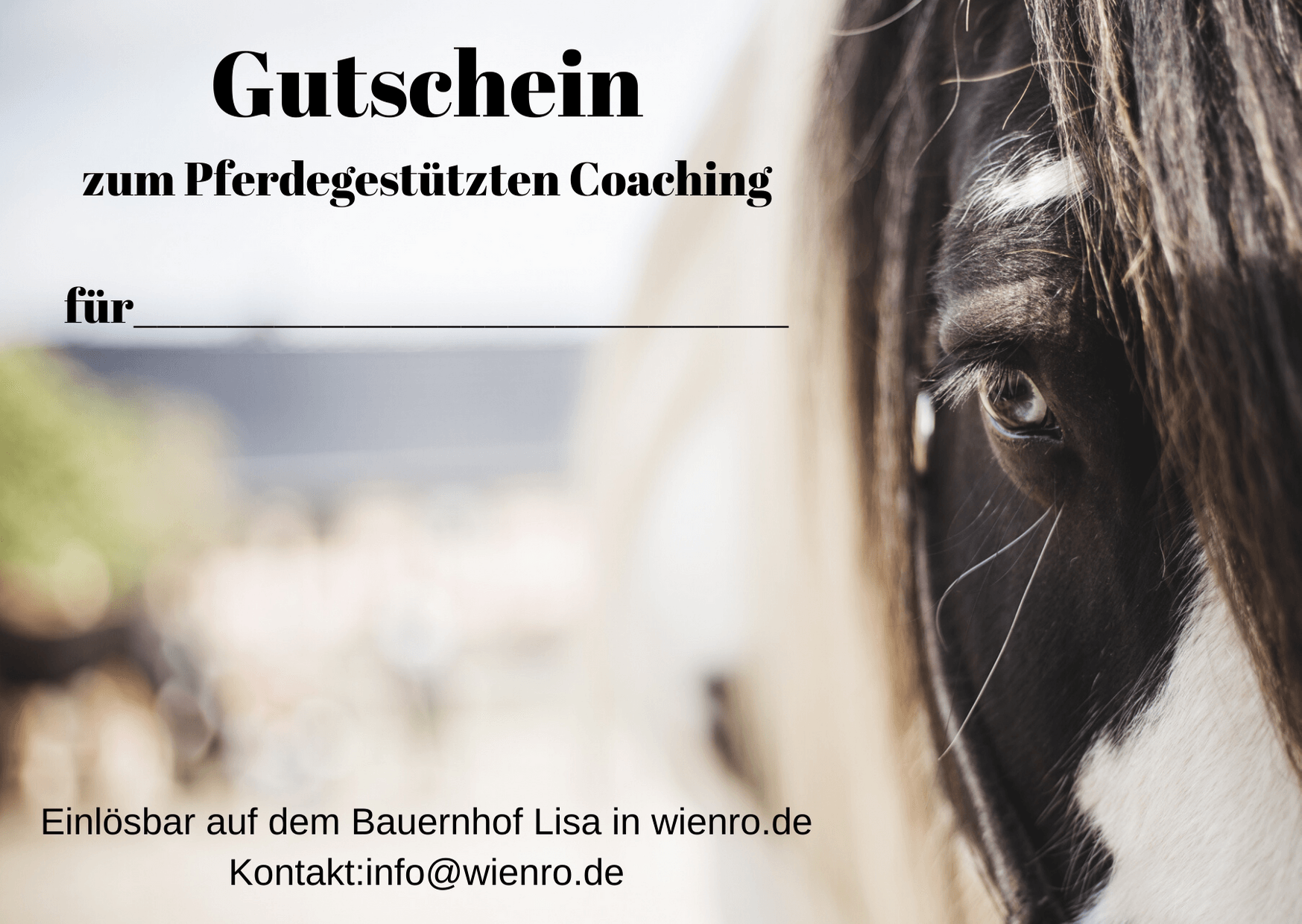 Pferdegestütztes Coaching