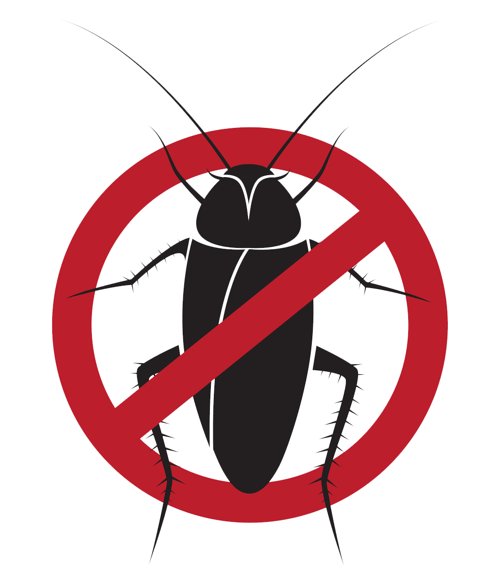 Cockroach - Cockroach control in Waterloo, IA Cockroach - Cockroach control in Waterloo, IA