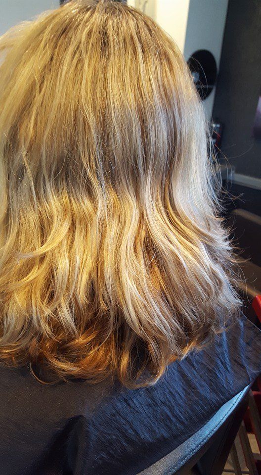 Highlights