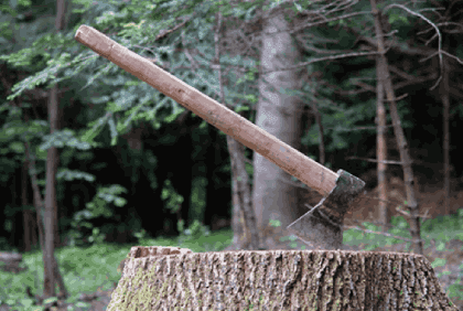 tree stump removal