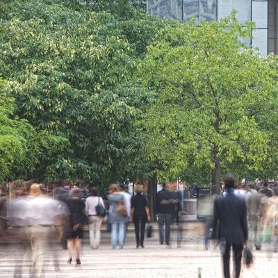 Commercial tree care
