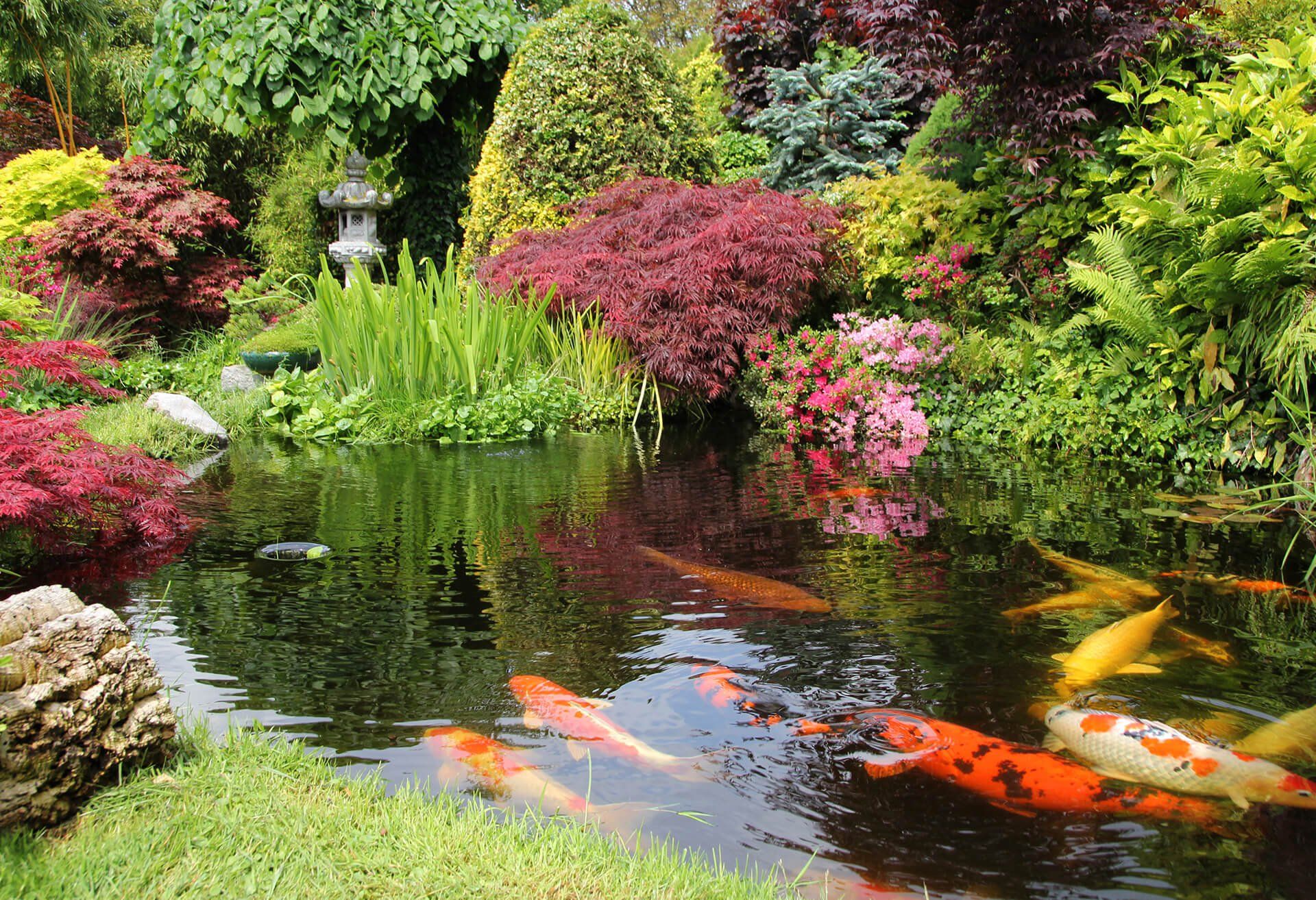 Flagstones — Fish Pond in Louisville, KY