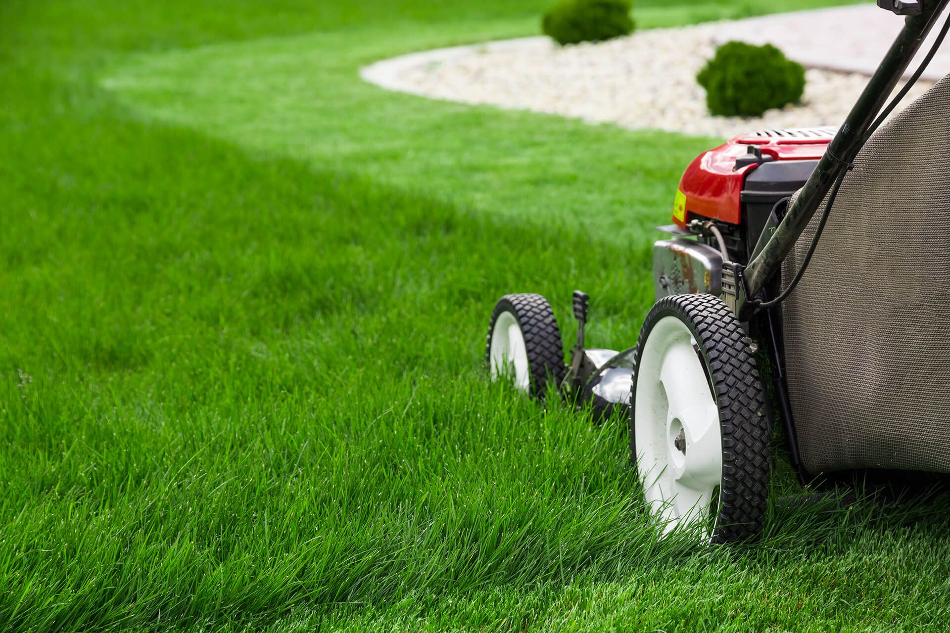 Lawn — Mowing the Lawn in Louisville, KY
