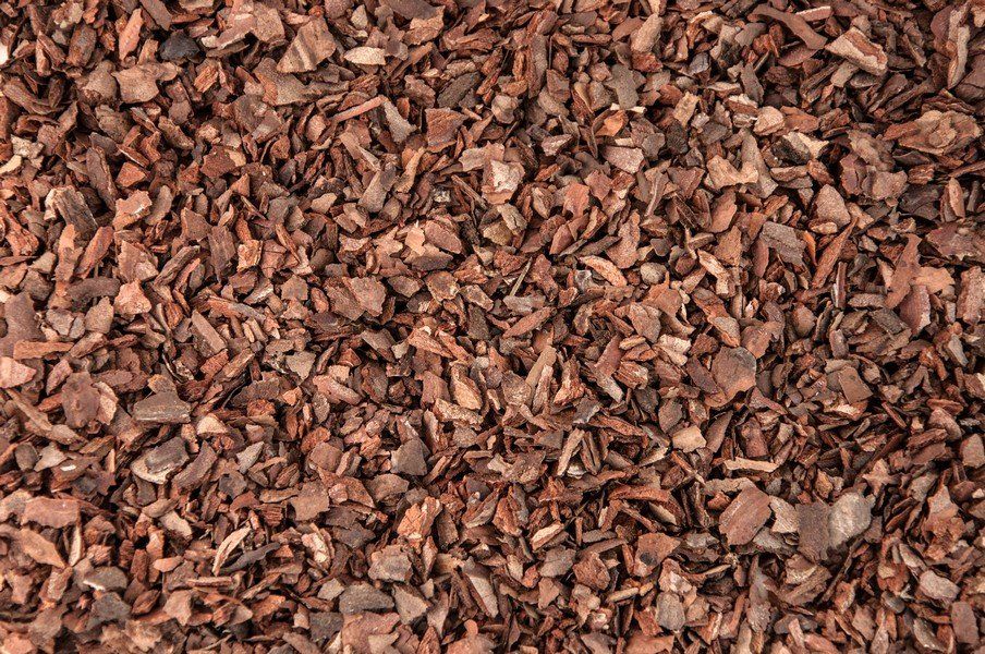 Garden — Soil in Louisville, KY