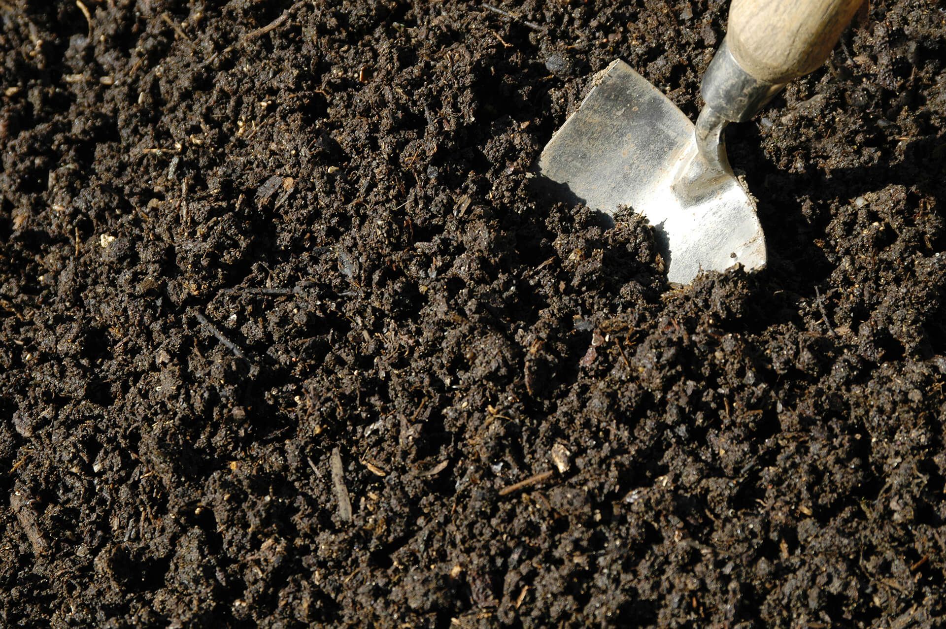 Sodding — Mulching in Louisville, KY