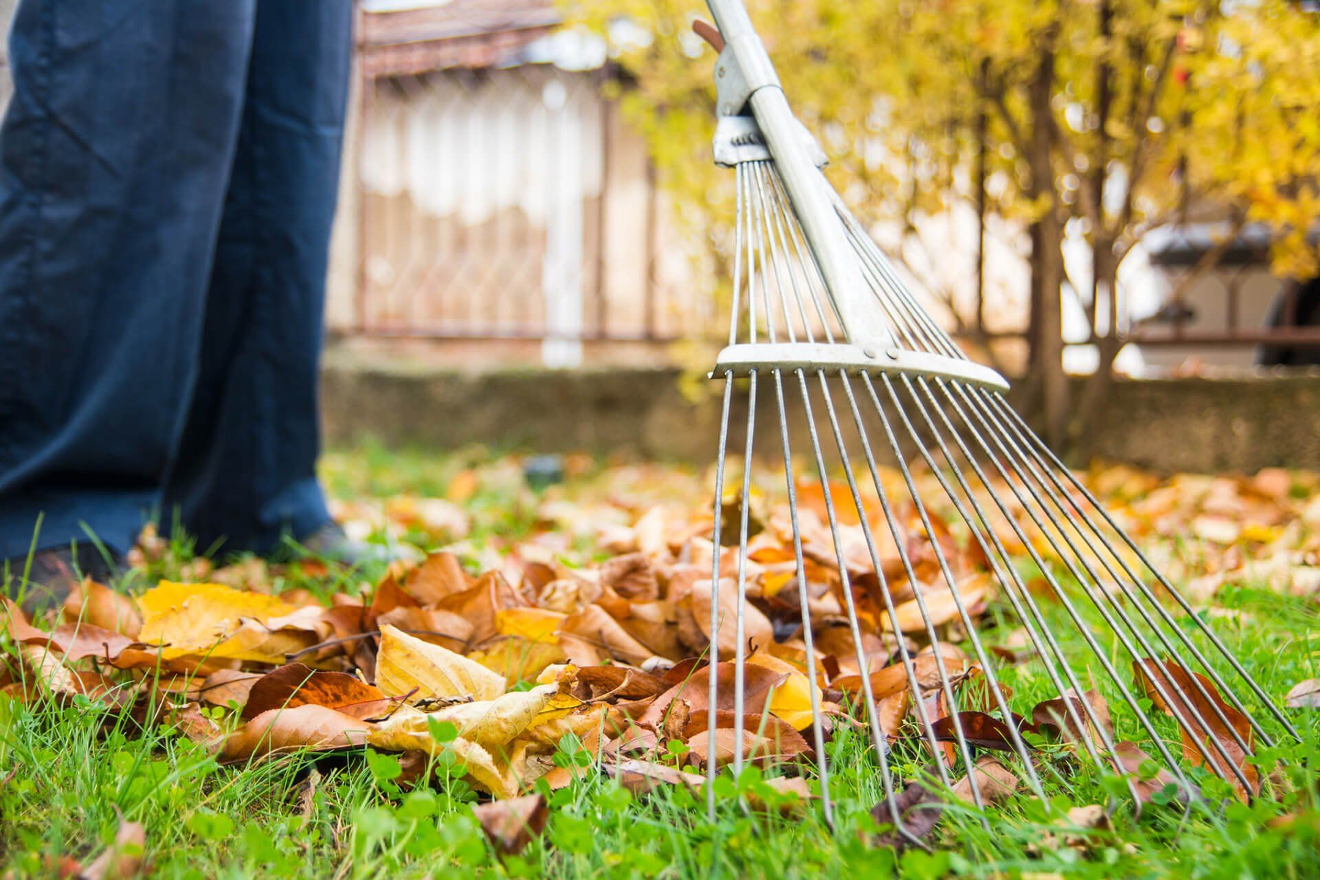 Mulch — Raking the Leaves in Louisville, KY