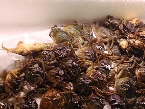 Pietanza a base di molluschi e crostacei