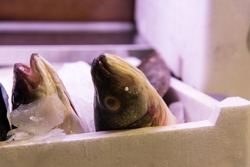 Pesce fresco