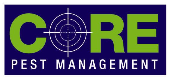 Pest Management in Sunshine Coast