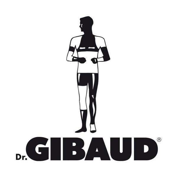 Logo Gibaud