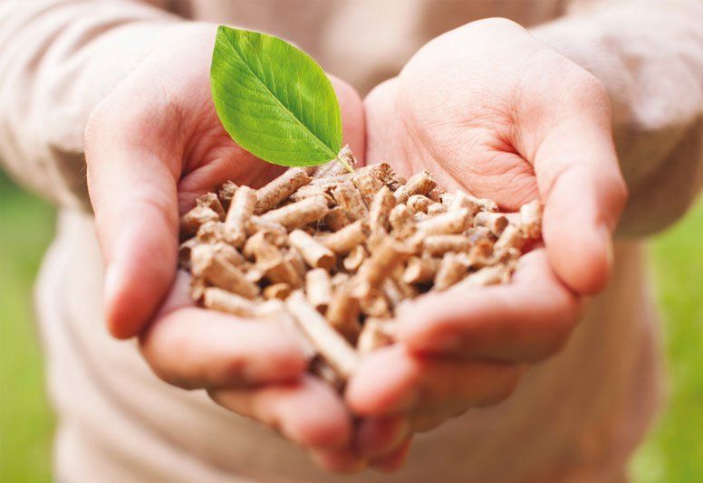 Termostufa a pellet