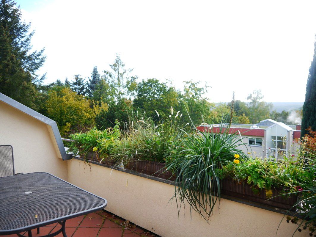 Auf+der+gro%C3%9Fen+Terrasse.jpg