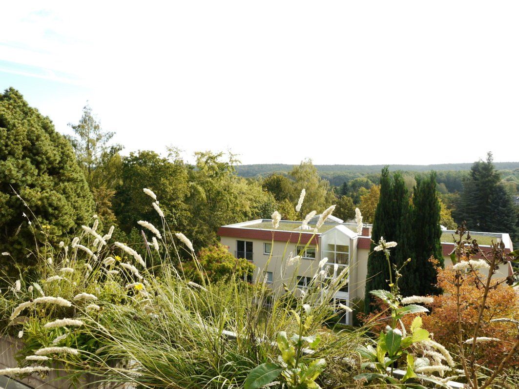 Die+Aussicht+von+der+unteren+Terrasse.jpg