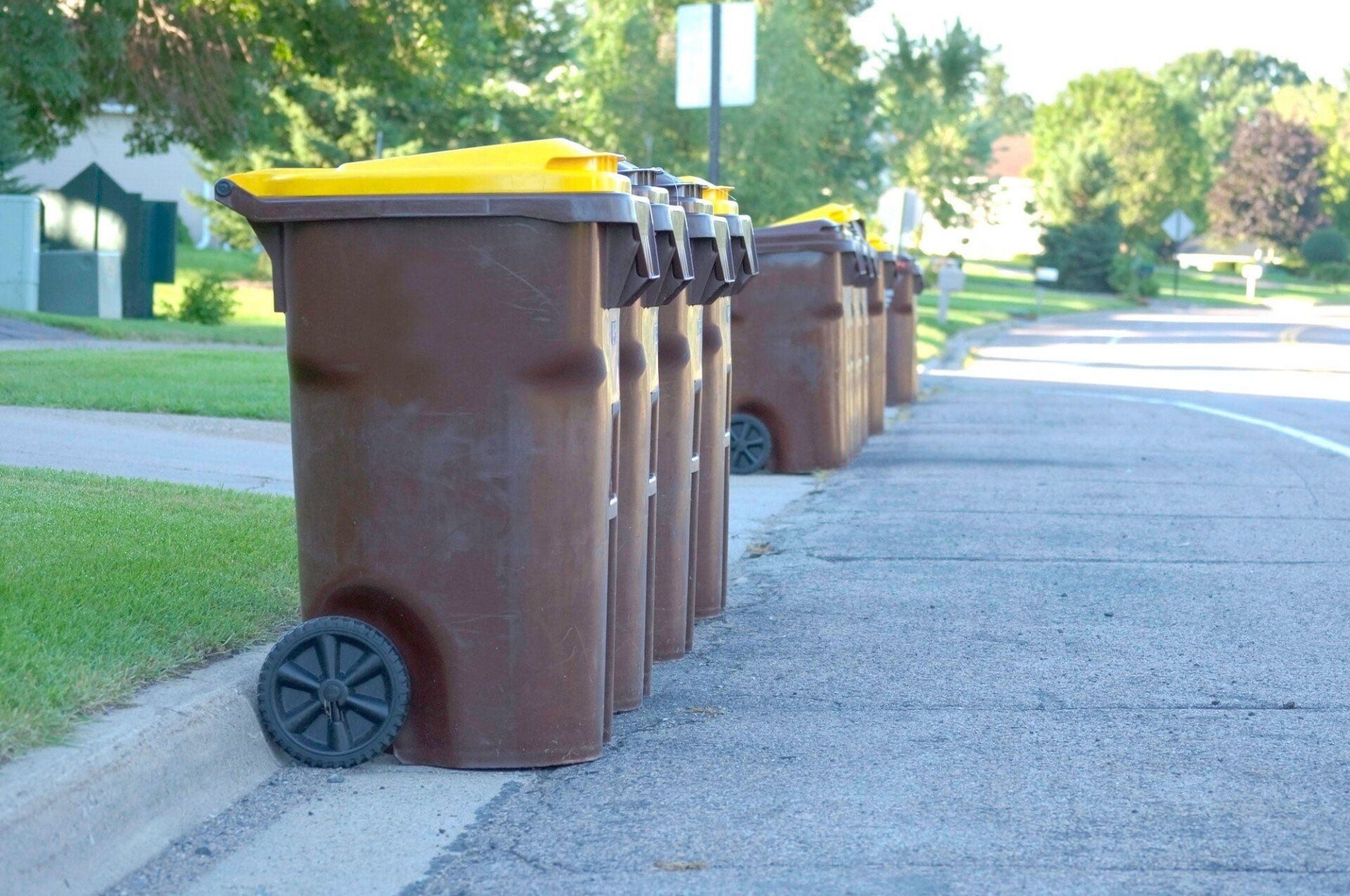 Brown trash bins with yellow lids lined up on a street curb.