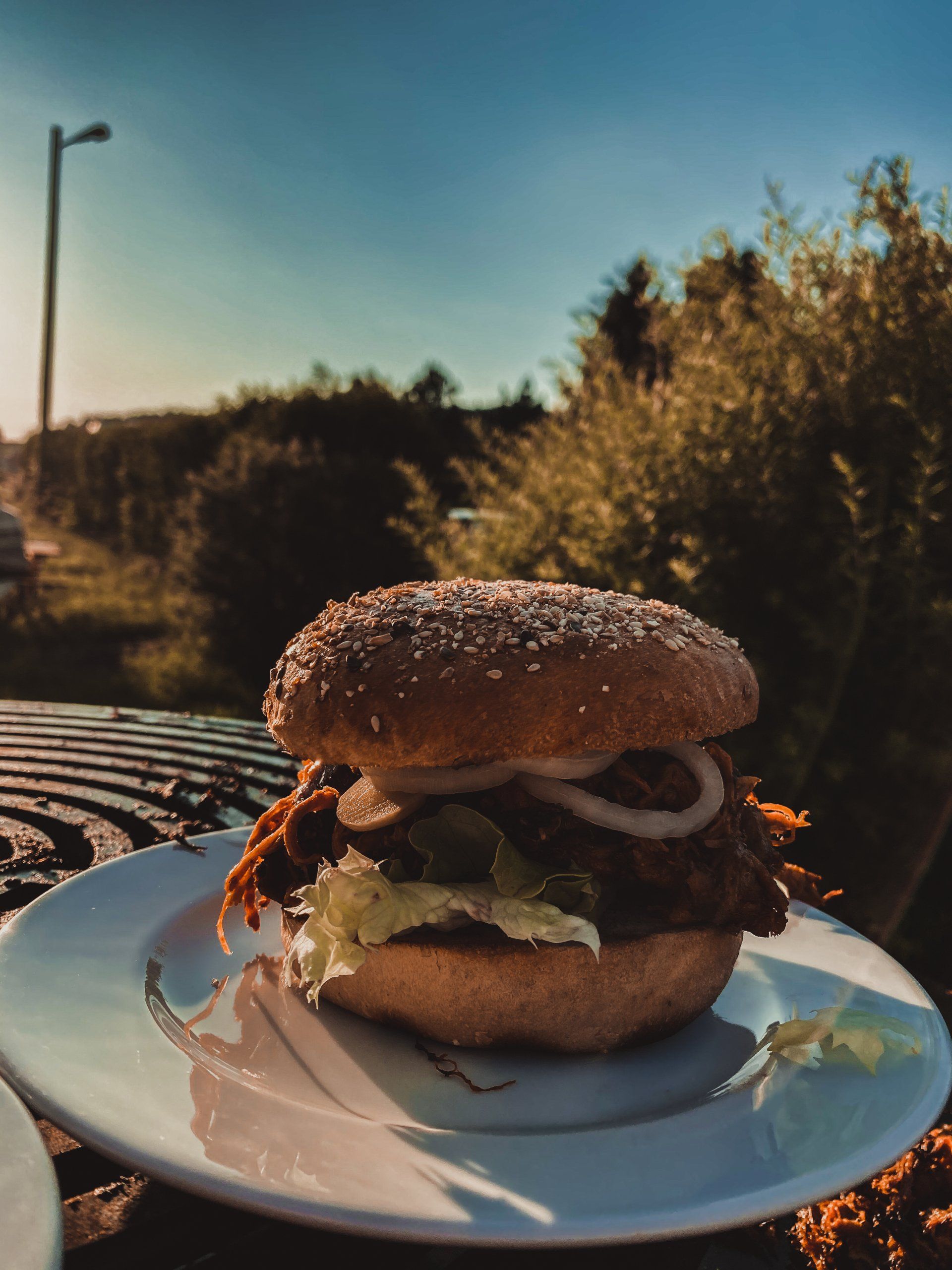 Hamburger Healthy