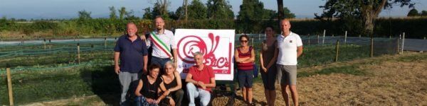 interventi di manutenzione spazi verdi