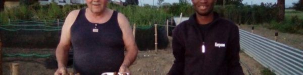 interventi di pulizia ambientale