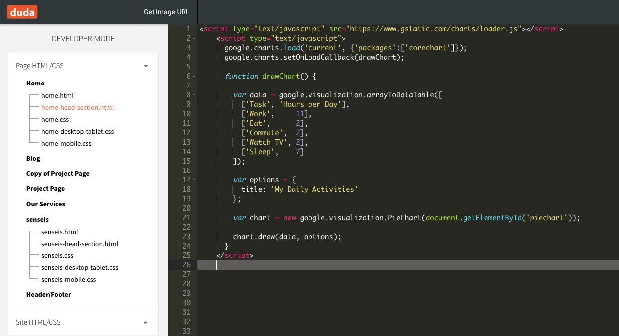 duda dev mode