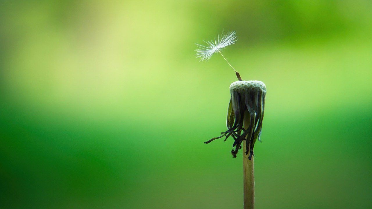Met Mindfulness en Biofeedback sneller tot je eigen kern komen