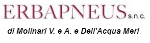logo erbapneus
