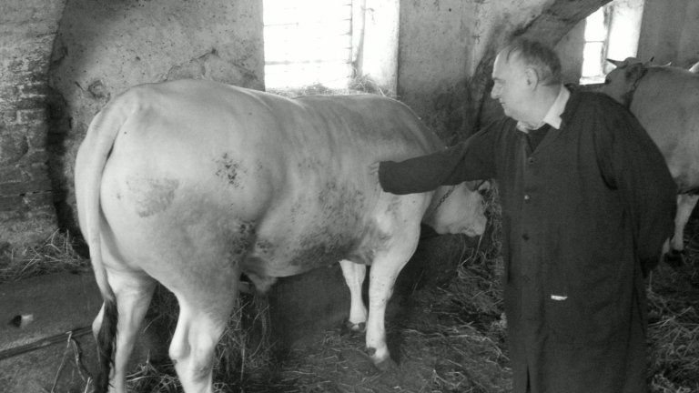 fassona piemontese