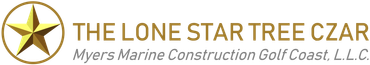 Tree-Service-Spring-TX-The-Lone-Star-Tree-Czar