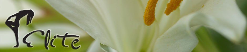 Eine Nahaufnahme einer weißen Blume mit dem Wort Elite darauf