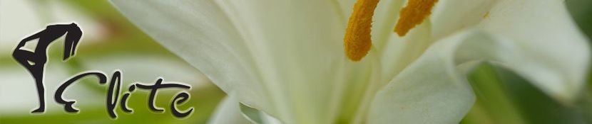 Eine Nahaufnahme einer weißen Blume mit dem Wort Elite darauf